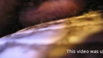 Guy banging a hot reptile on webcam