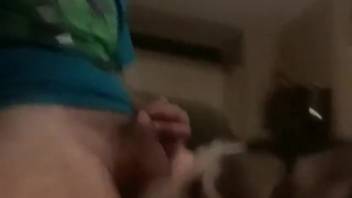 Guy with a limp dick receives an awesome oral pleasure from a canine