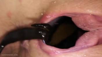Bloodsuckers and submerged animal sex frenzy in a lesbian domination clip