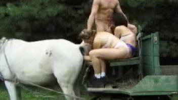 Alluring pale filly gets banged by a freaky threesome
