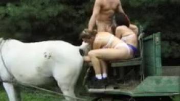 Wild outdoor adventure at the zoo with a group of horny lovers