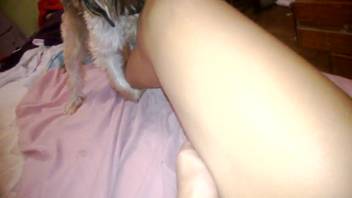 Aroused beast screwing the proprietor's steamy feet in a sizzling video