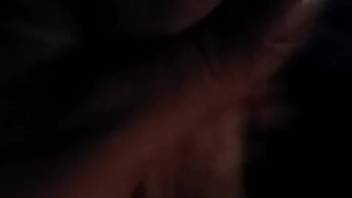 Extreme nighttime bestiality footage captured on camera