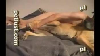 Hot guy with a huge cock bangs his dog on video