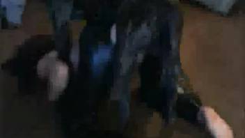 Trousers-clad hottie being banged by a freaky canine
