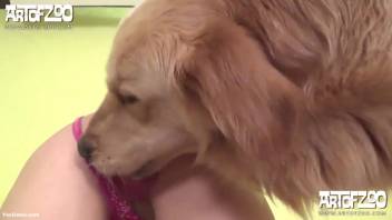 Mischievous vixen being screwed by a perverted pup