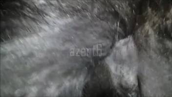 Man tormenting a female horse's drenched pussy in a sizzling bestiality clip