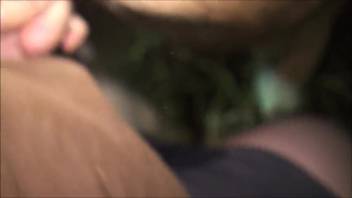 Guy with a bulging-veined dick pounds a female horse's slick vagina