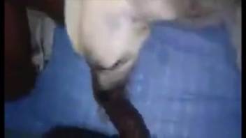 Intense banging marathon with an ultra-perverted beast
