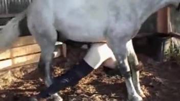 Pale bestiality enthusiast has his butthole penetrated by a male horse