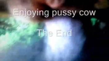 Guy screws a beast's orifice doggy-style in a first-person view clip