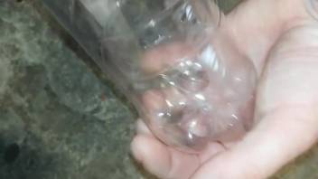 Filthy clips of bestiality involving bugs
