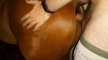 Horse anal pornography compels the zoophilia enthusiast to engage in deep penetration.