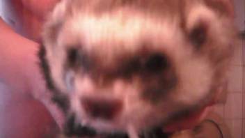 A guy shoots his load all over a ferret's adorable face in a steamy video