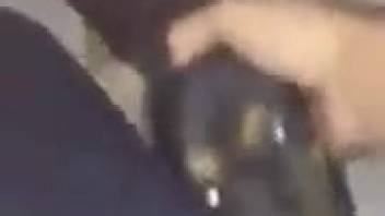 Enthusiastic dude deepthroating a obedient bitch on video