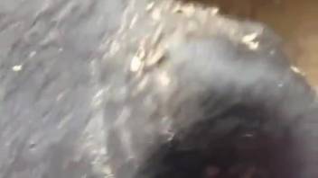 Guy roughly pounding a hot beast from the back