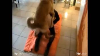 Intense rear-entry fucking with a hot pup