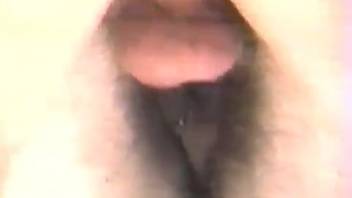 Tasty female pussy being pounded by a well-endowed stud