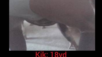Young student with a bouncy butt is screwed by a canine