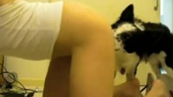 Naked female withstands massive canine cock in her tight pussy