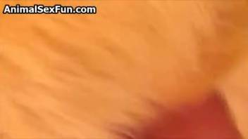 Shaved woman's cunt pounded by a stunning canine cock