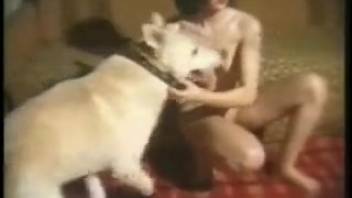 Cropped-haired dark-haired lady pounded vigorously by a perverted pooch
