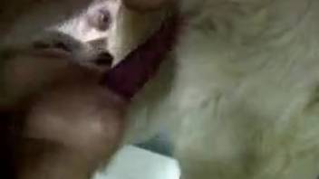 Blonde babe and her pink-haired lover with a canine
