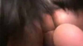 Rear-entry sex video featuring a large-assed animal lover