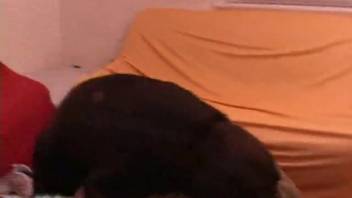 Canine aggressively penetrates bare lady in intensely hot positions