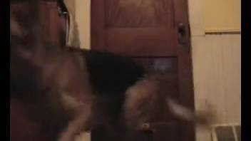 Well-hung guy brutally fucks his promiscuous daughter