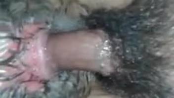 Cara gostoso enfia o pênis no buraco apertado de um animal