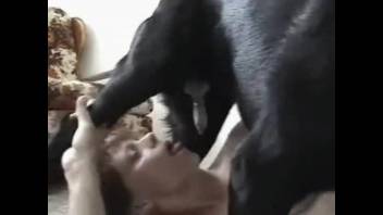 Savage animal sex featuring a group of hot novice performers
