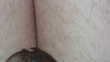 Guy relishing perverted intimacy with a cluster of snails