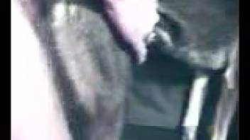 Guy's erect dick penetrates a hot beast from the rear