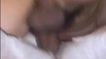 Guy pounding a canine's snug vagina in close-up on webcam