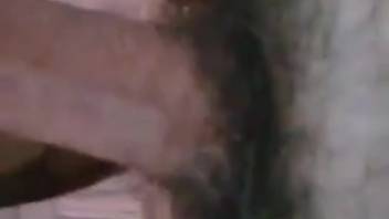 Guy thrusts his thick dick into a snug beast's orifice