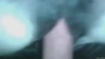 Steamy slut with a soaked pussy being pounded by a well-hung dude