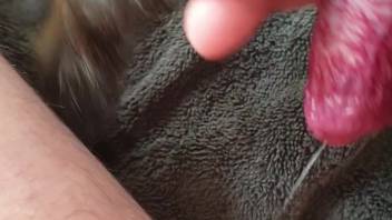 First-person perspective rubbing video featuring a guy and his perverted canine companion