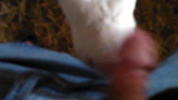 First-person deepthroat action with a freaky, alluring heifer