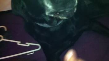 Ebony canine swallows a massive cumshot from a super perverted guy