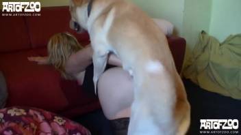Disguised blonde with a round ass screws a perverted dog