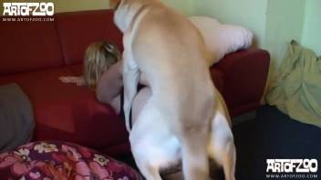 Blonde in ebony hosiery being pounded relentlessly by a canine