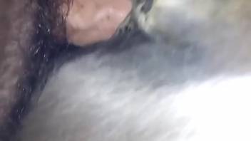 Guy with foreskin-covered cock banging a obedient beast