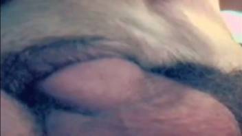 Aroused man deeply penetrates his hairy pet in the vagina