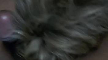 Guy banging a pooch's cute muzzle in a first-person flick