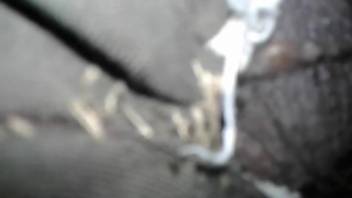 Intense butt pounding session featuring a well-hung guy and his beast