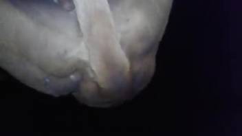 Voracious beast pounding a guy's narrow rear end