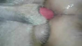 Firm-ass guy being pounded by a lustful monster