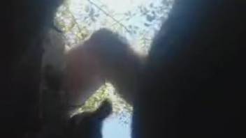 Man thrusting into a hot beast from the rear in an open-air setting