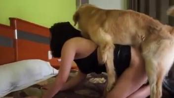 Curvy lady exposes her kinky side in bestiality webcam footage